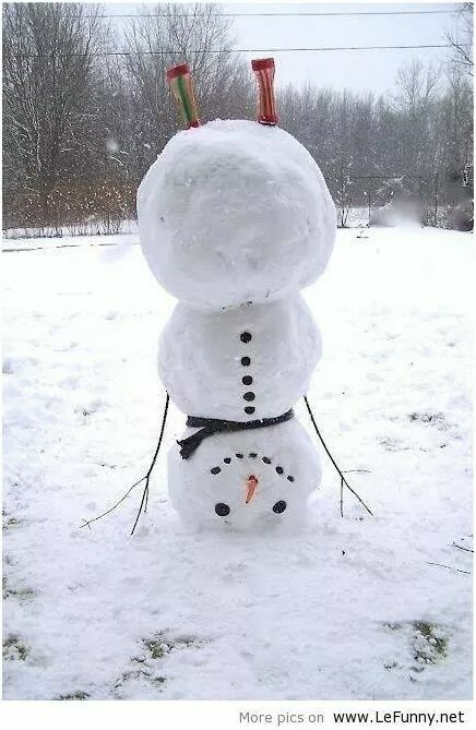 17264168_1276360185818226_645059710259011145_n