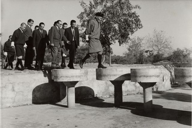 1916844_10150207173095153_2540428_n